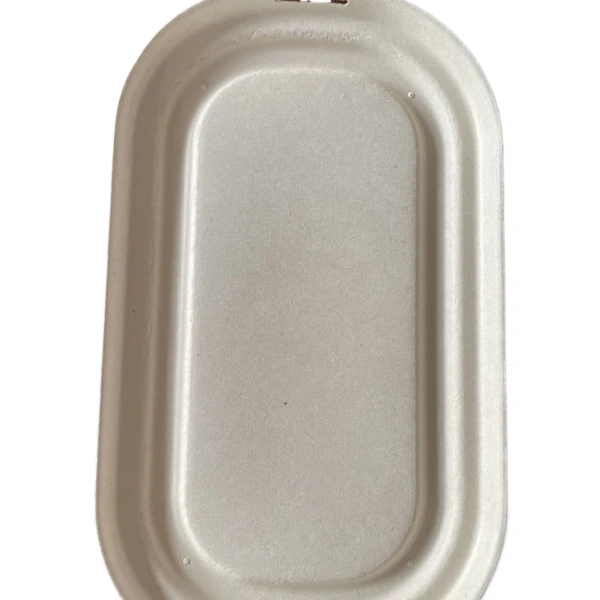food packaging supplies bagasse lid